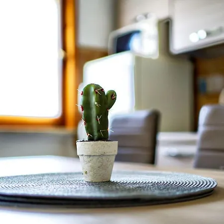 Appartement Casa Zoe Free Parking,self Check In & Free Wi Fi *