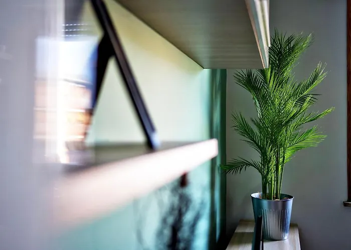 Casa Zoe Free Parking,self Check In & Free Wi Fi Apartament *